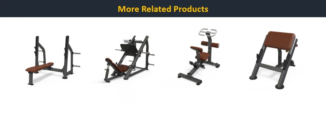 Free Weight Adjustable Back Extension Machine Strength Training